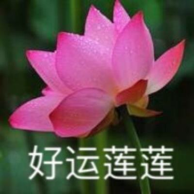萝莉塔防手游九游版